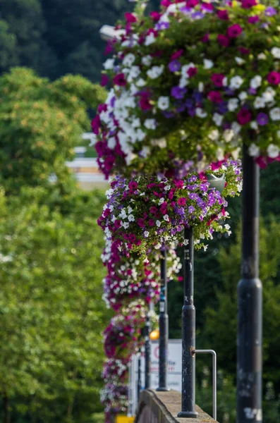 Una Hermosa Cerca Decorada Con Flores Colores Parque — Foto de Stock