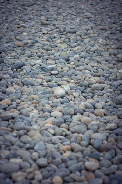 Een Verticaal Schot Van Grond Vol Kiezelstenen — Stockfoto