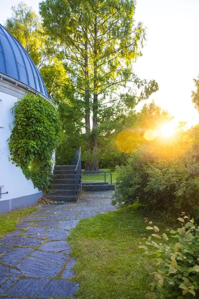 Egy Aszfaltozott Egy Fehér Épület Mellett Mászó Borostyánnal Konstanz Gyönyörű — Stock Fotó