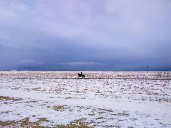 Icy Icelandic tundra with a black icelandic horse rider in front of a storm