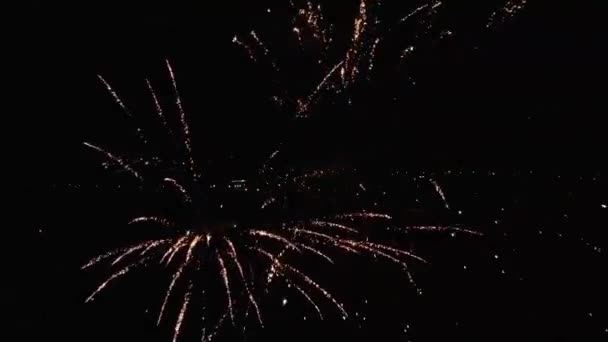 Tűzijáték Éjszakai Égen — Stock videók