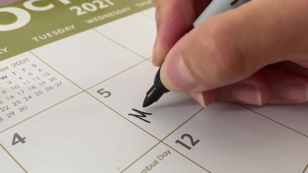 Planejador Calendário Pode Ser Usado Como Uma Data Dia Ano — Vídeo de Stock