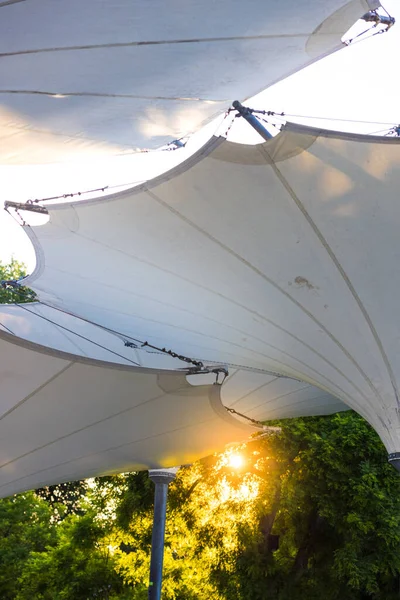 Een Shot Van Witte Luifel Paraplu Tussen Bomen Het Zonlicht — Stockfoto