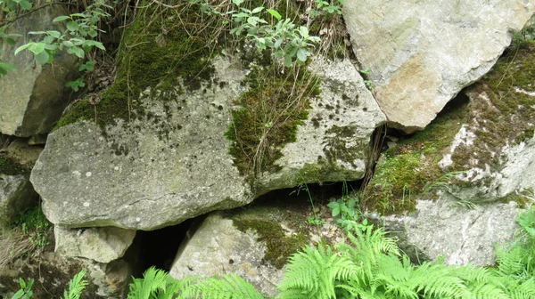 강기슭에 이끼로 돌덩이 — 스톡 사진