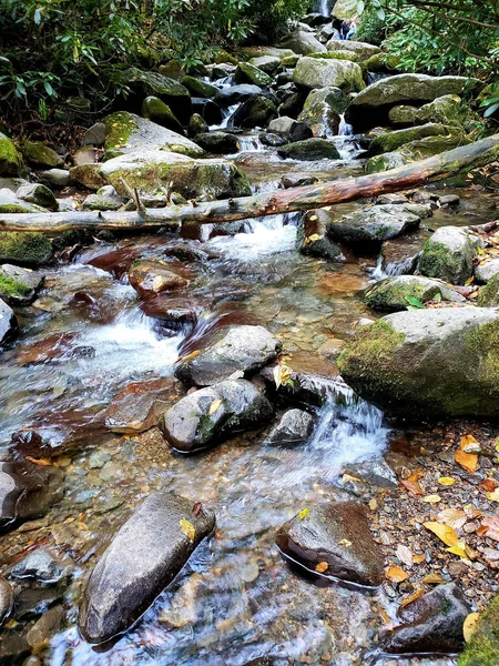 Płynąca Woda Skalistym Strumieniu Lesie — Zdjęcie stockowe