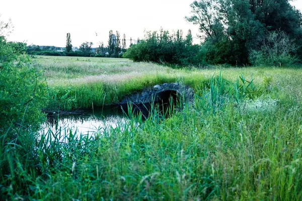 Маленький Ручей Зеленом Поле — стоковое фото