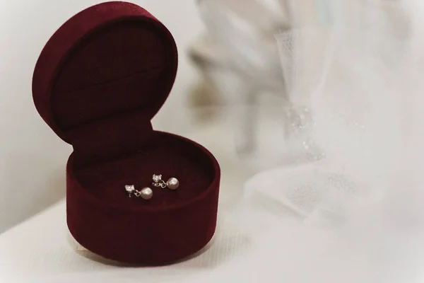 Closeup Garnet Box Small Pearl Earrings — Stock Photo, Image
