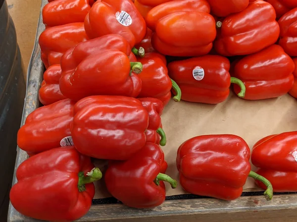 Indianapolis Egyesült Államok 2021 Augusztus Különböző Paprika Kapható Egy Élelmiszerboltban — Stock Fotó