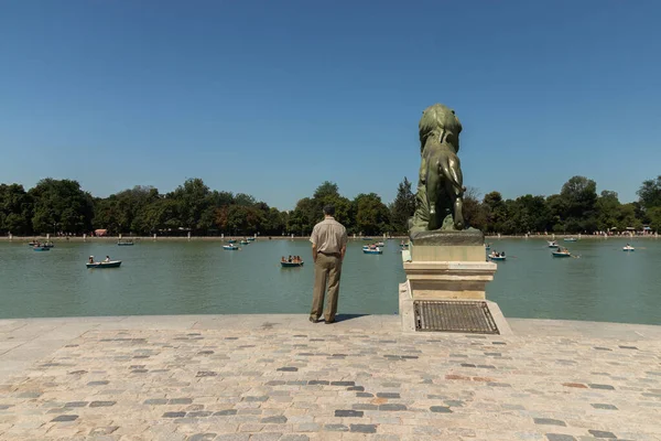 Tiro Homem Adulto Perto Uma Estátua Leão Parque Retiro Madrid — Fotografia de Stock