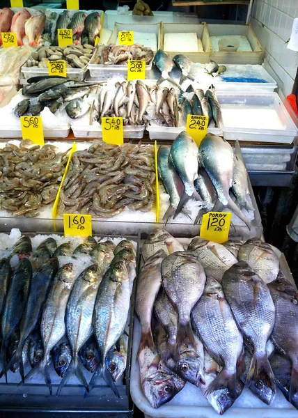 Uma Loja Peixe Com Diferentes Tipos Peixe Com Etiquetas Preços — Fotografia de Stock