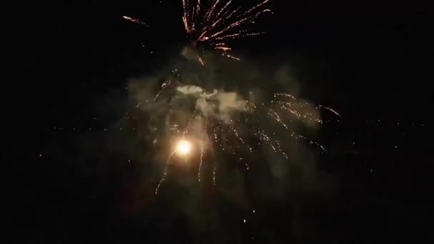 Fuochi Artificio Cielo Notturno — Video Stock