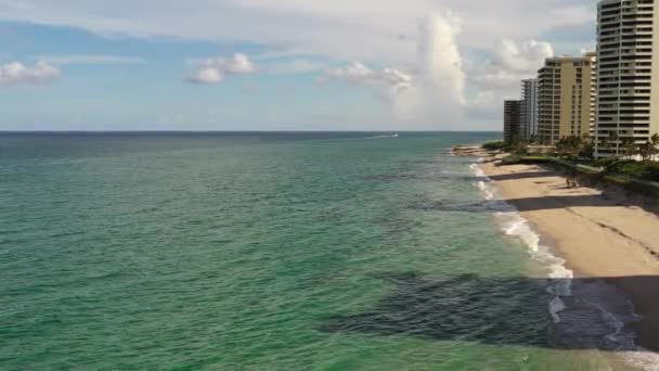 Όμορφη Παραλία Φοίνικες Και Γαλάζιο Ουρανό — Αρχείο Βίντεο