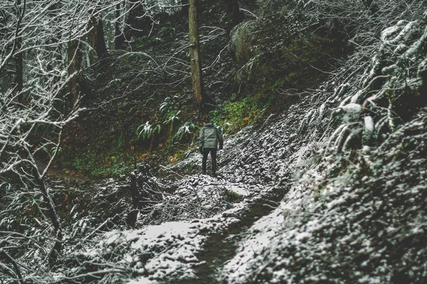 Красивий Вид Зимовий Ліс Пішоходом — стокове фото