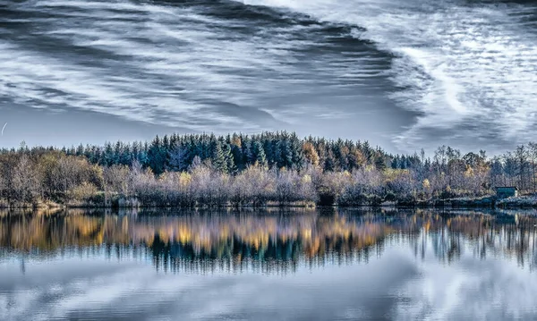 Une Belle Vue Sur Reflet Des Pins Sur Lac Gelé — Photo