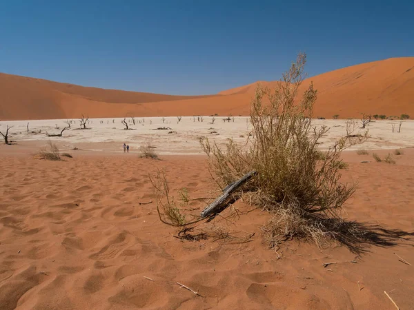 Gyönyörű Kilátás Deadvlei Kék Alatt Sossusvlei Namíbia — Stock Fotó