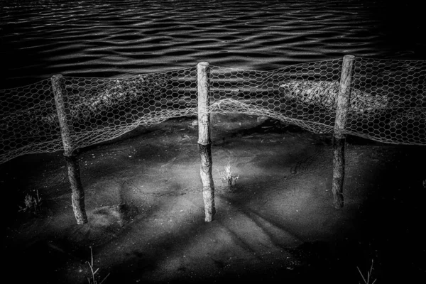 Disparo Escala Grises Una Valla Metal Palos Madera Lago — Foto de Stock