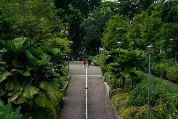 Singapour Singapour Sept 2021 Personnes Marchant Parc Duxon Plain Pendant — Photo