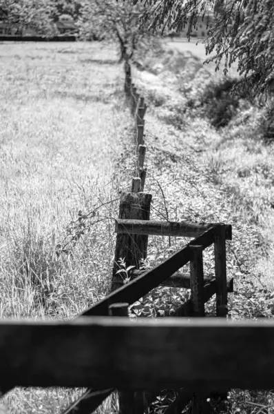 Egy Fekete Fehér Lövés Egy Kerítésről Mezőn — Stock Fotó