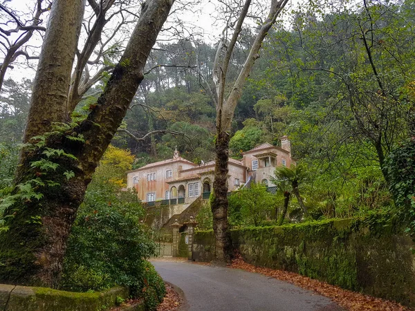 Een Weg Die Leidt Naar Een Huis Het Midden Van — Stockfoto