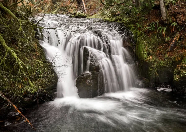 Der Schöne Wasserfall Wald — Stockfoto