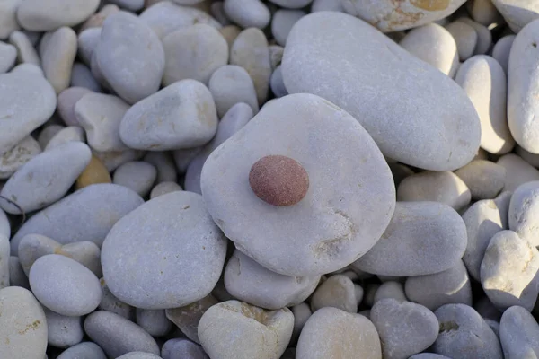 Small Brown Stone Gray Pebbles Background Texture — Stock Photo, Image