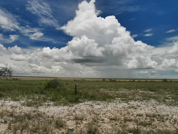 Een Landschap Van Gras Het Zand Onder Een Bewolkte Lucht — Stockfoto