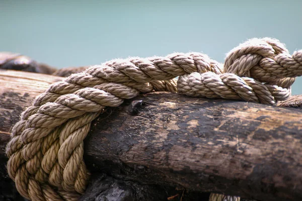 Nahaufnahme Eines Seils Das Einen Baumstamm Gebunden Ist — Stockfoto