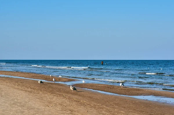 Una Bella Foto Una Spiaggia Sabbia — Foto Stock