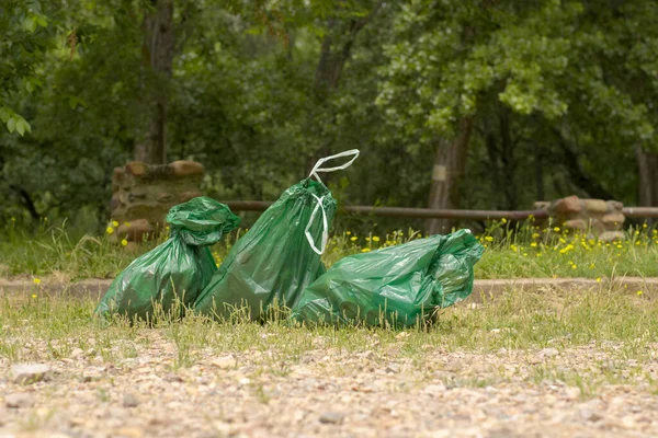 Drei Grüne Plastiktüten Auf Dem Boden Hintergrund Ein Wald — Stockfoto