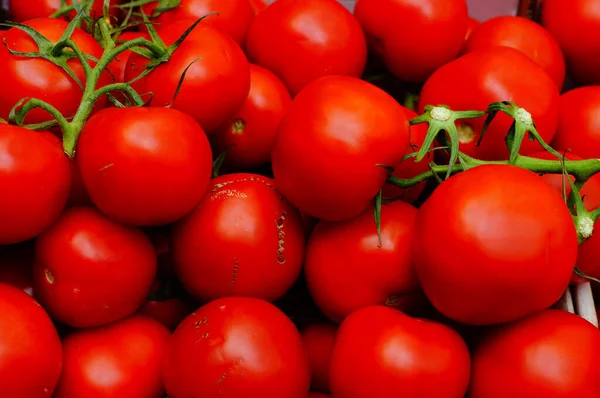 Tomates Vid Puesto Mercado Hermoso Rojo Brillante —  Fotos de Stock