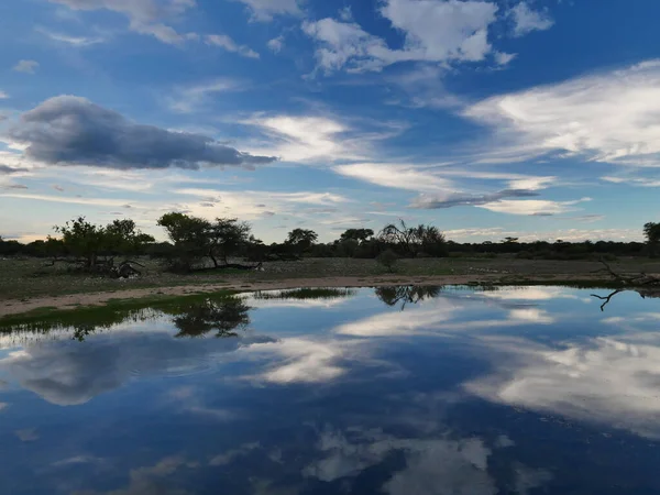 Uma Bela Vista Lago Calmo Com Reflexo Árvores Água — Fotografia de Stock