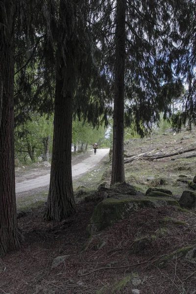 Lady Walking Load Bush Her Head Walking Mountain Path Portugal — Stock Photo, Image