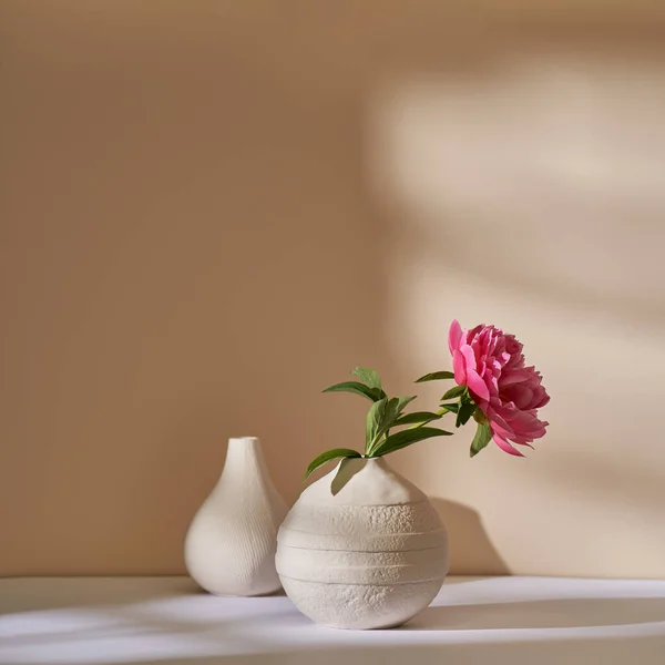 Uma Peônia Rosa Vaso Cerâmico Branco Contra Uma Parede Bege — Fotografia de Stock