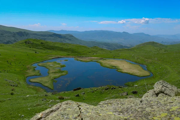 Pemandangan Sebuah Danau Lapangan Tertutup Hijau Bawah Langit Biru Dan — Stok Foto