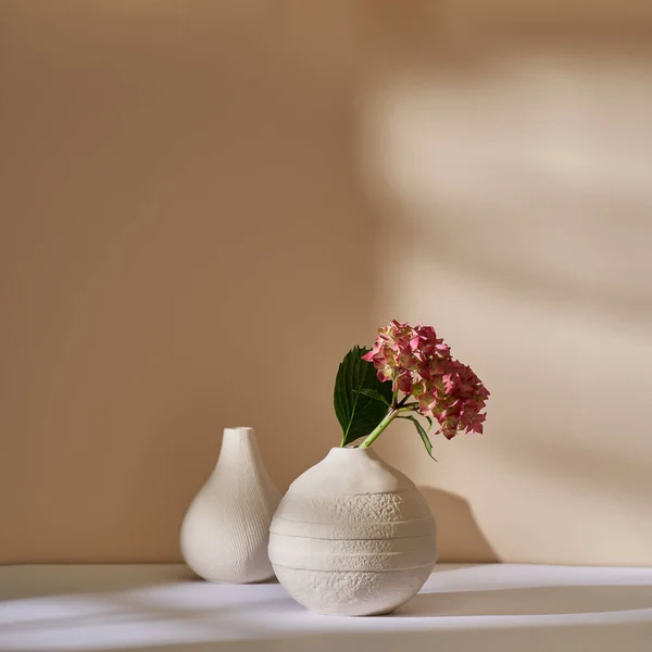 Rózsaszín Hortenzia Fehér Kerámia Vázában Egy Bézs Falnak Támasztva — Stock Fotó