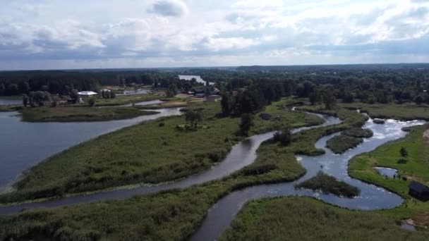 Letecký Pohled Řeku Les Pozadí — Stock video