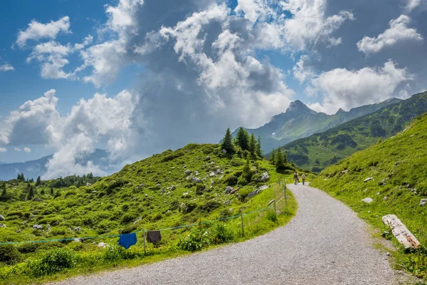 Sentier Sur Les Montagnes Entouré Plantes Par Une Journée Nuageuse — Photo