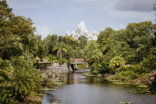 Een Prachtig Uitzicht Een Rivier Temidden Van Dichte Groene Bomen — Stockfoto