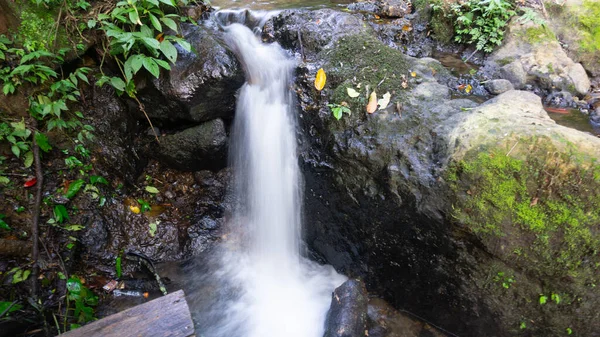 Une Vue Panoramique Une Petite Cascade Dans Forêt — Photo