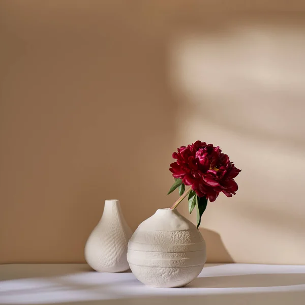 Una Dalia Roja Jarrón Cerámica Blanca Contra Una Pared Beige —  Fotos de Stock