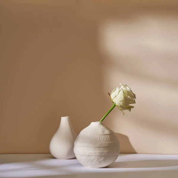 Uma Rosa Branca Vaso Cerâmico Contra Uma Parede Bege — Fotografia de Stock