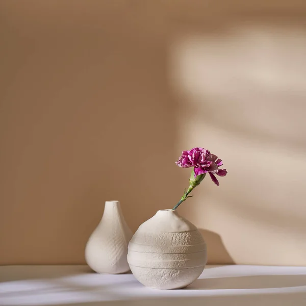 Cravo Rosa Vaso Cerâmica Branca Contra Uma Parede Bege — Fotografia de Stock