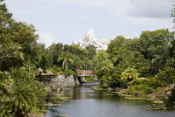 Een Prachtig Uitzicht Een Rivier Temidden Van Dichte Groene Bomen — Stockfoto