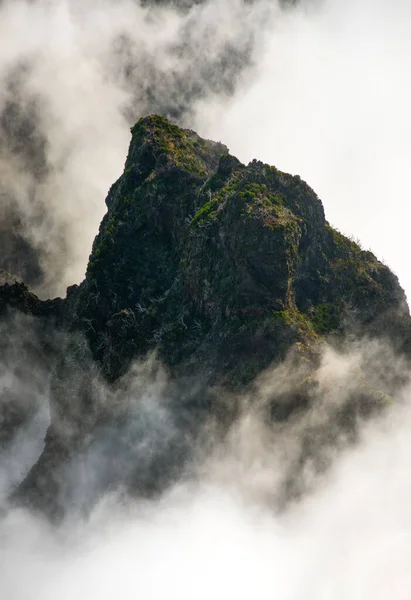 Lofty Mountain Green Trees Fog — Stock Photo, Image