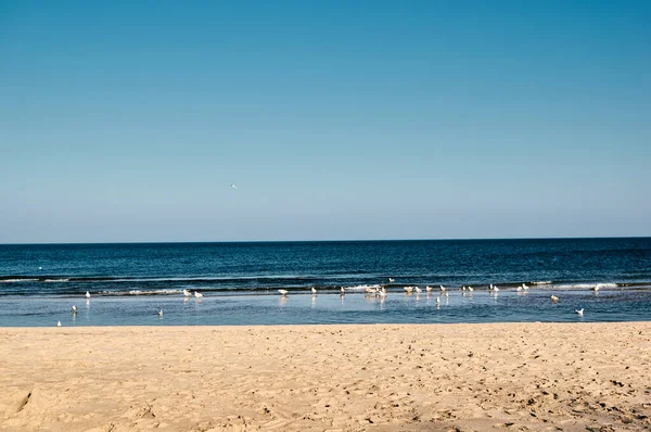 Krásný Záběr Pláž Slunečného Dne — Stock fotografie