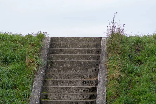 Uma Escada Pedra Velha Parque — Fotografia de Stock