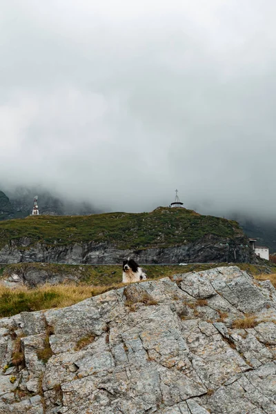 Een Hond Liggend Rustend Een Rots Tegen Bewolkte Lucht Boven — Stockfoto