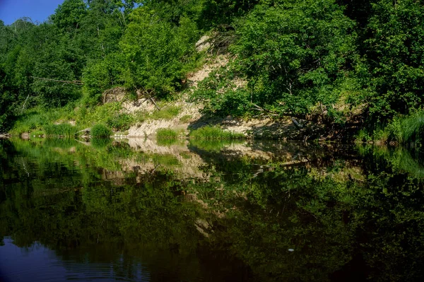 Une Belle Vue Sur Une Rivière Qui Coule Entourée Verdure — Photo