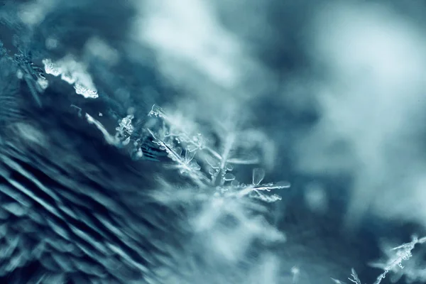 Güzel Kar Tanelerinin Makro Çekimi — Stok fotoğraf