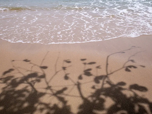 Playa Cerca Del Mar — Foto de Stock